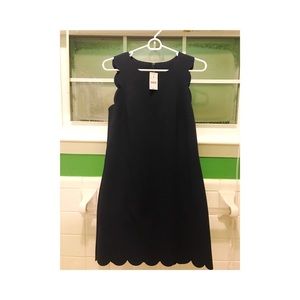 J.Crew Factory navy scallop shift dress